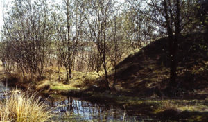 Naturschutzgebiete Ellinghorst