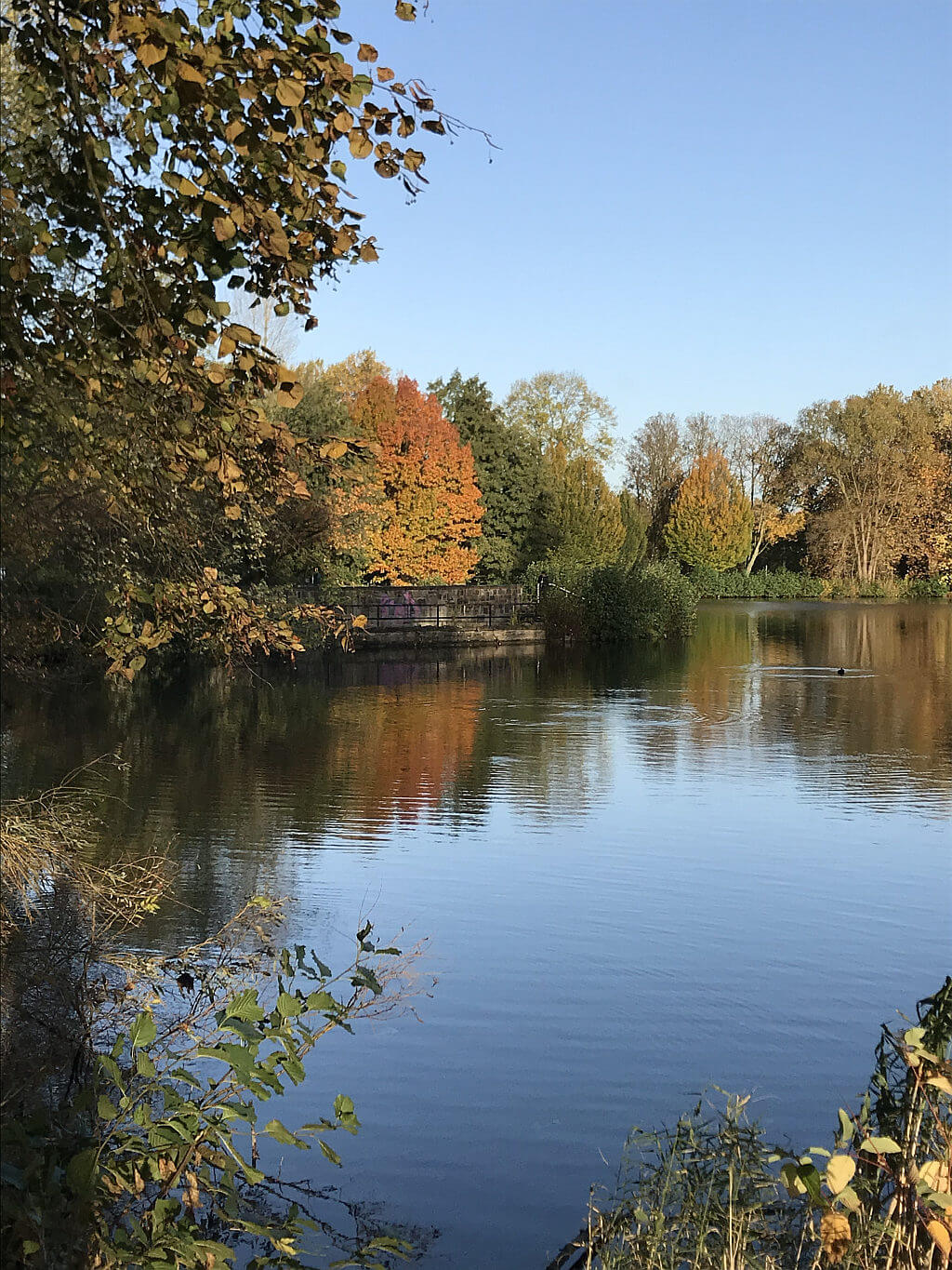 Teiche in Gladbeck - Nordparkteich im Herbst